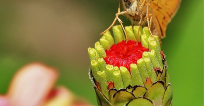 22nd Sunday after Pentecost