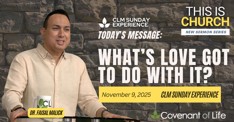 What’s Love Got To Do With It? 