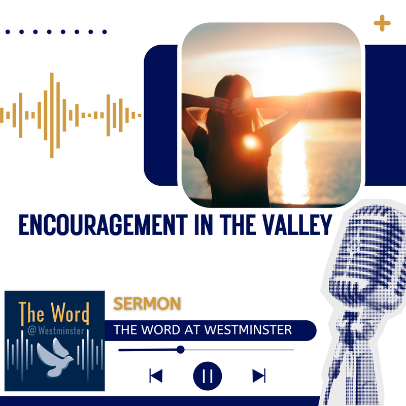 Encouragement in the Valley (Sermon)