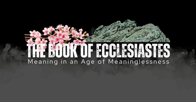 Wisdom and Folly in a Broken World