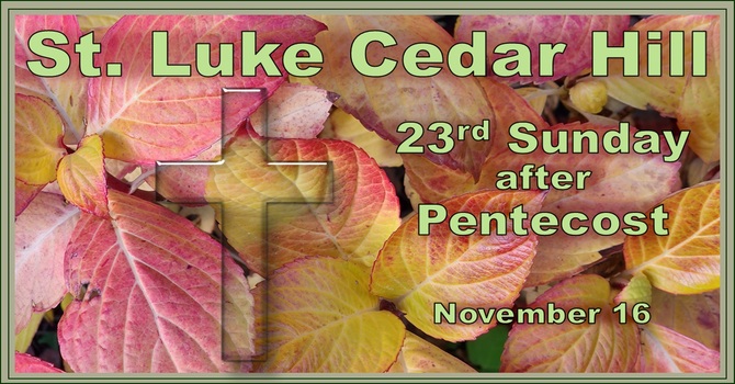 This Sunday's Services