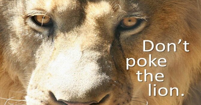 Don't Poke the Lion