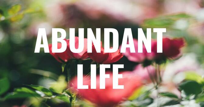 Abundant Life - Bro. Kurz