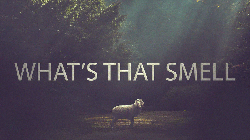 What's That Smell