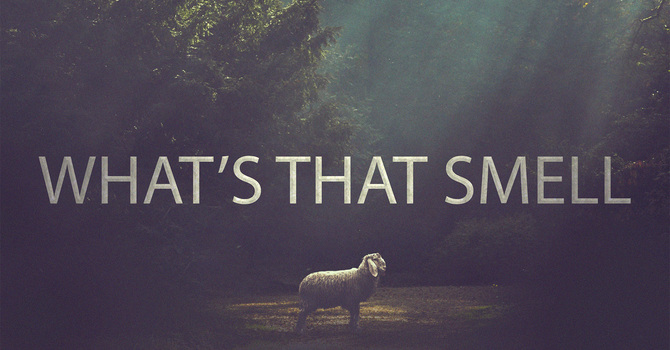 What's That Smell