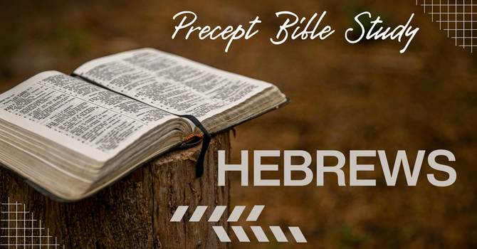 Hebrews: Lesson 5