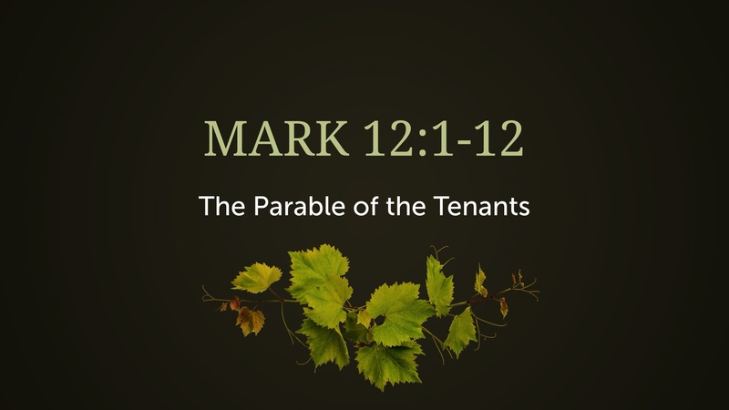 Mark 12:1-12, The Parable of the Tenants