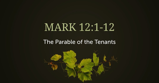 Mark 12:1-12, The Parable of the Tenants