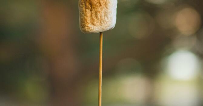 S'Mores + Bonfire
