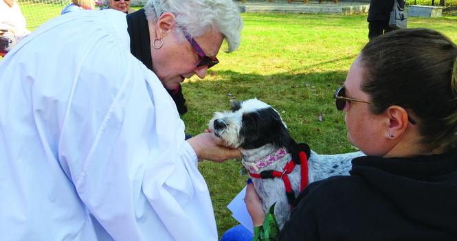 Treats, barks abound during Blessing of the Animals service in Fredericton
