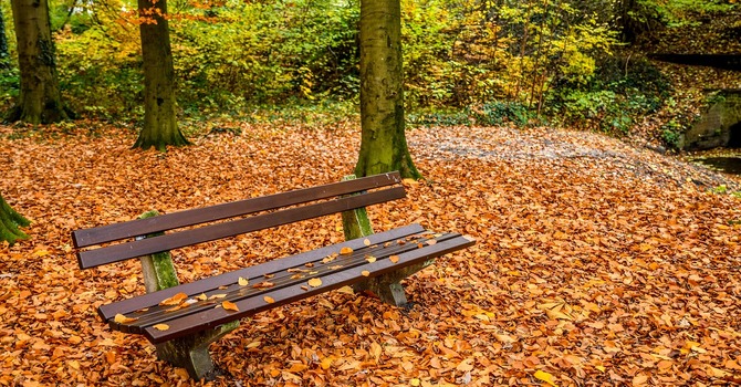 November 10, 2025 Devotion image