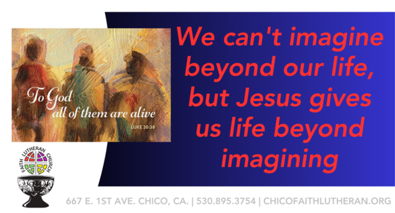 22nd Sunday after Pentecost, 2025