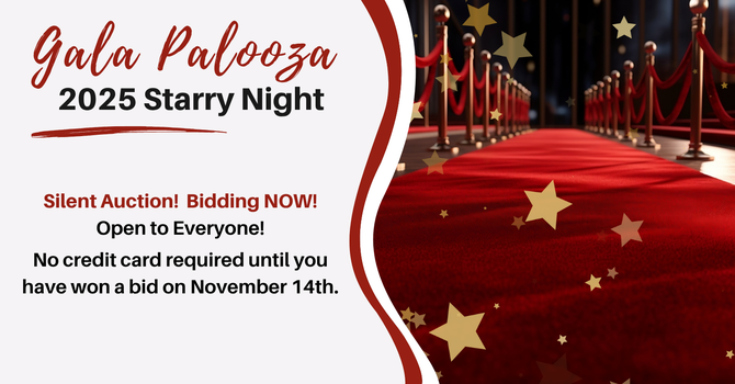 Silent Auction - Bidding Open Now!