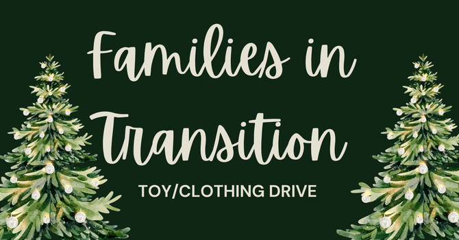 Families in Transition 