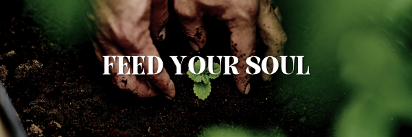 Inspiration From The Mothership