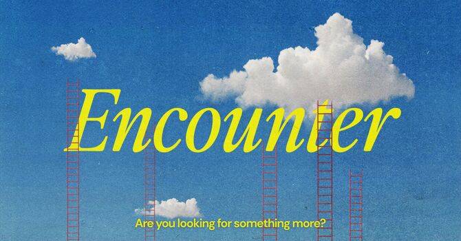 Are you looking for something more?