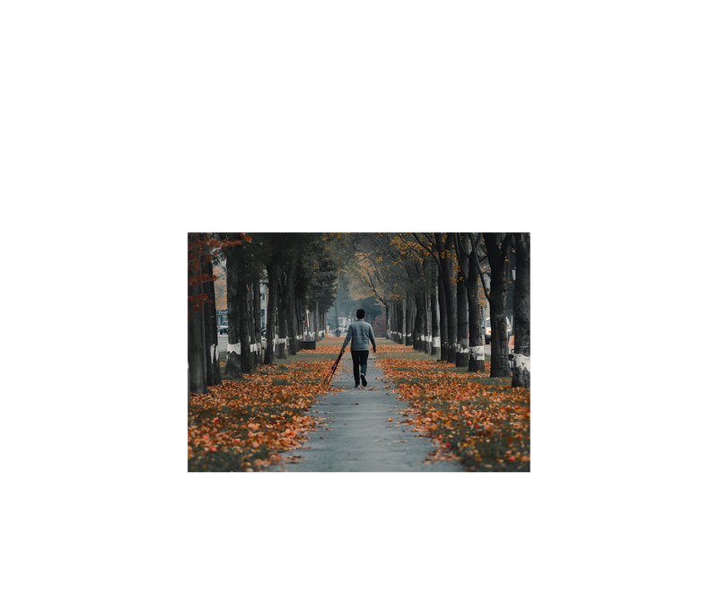 Journey Through the Word - Micah