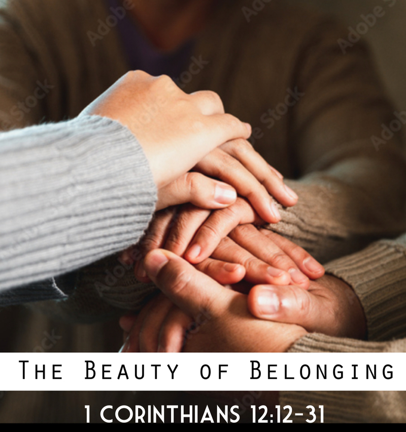 The Beauty of Belonging