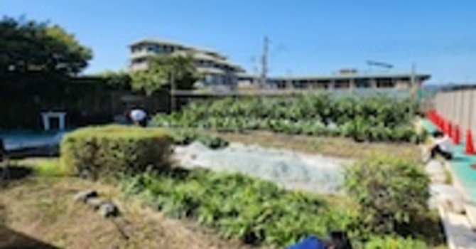 Haiku & Reflections from Japan: Streetwise image