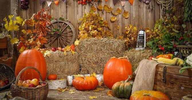 friends giving (youth and young adults)