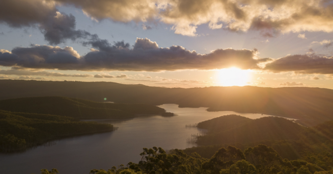 Searching for Sunday