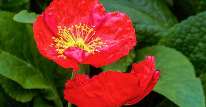 Thoughts from daily Bible reading for today – Nov.11, 2023 image