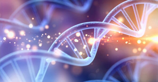 The Wisdom in Our Bones