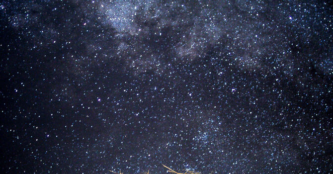 Family Christmas Service