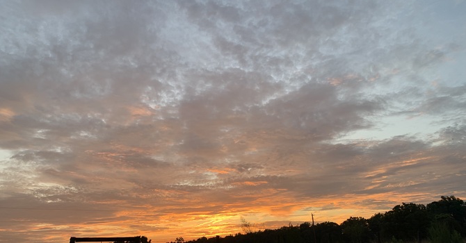 November 12, 2025 Devotion image