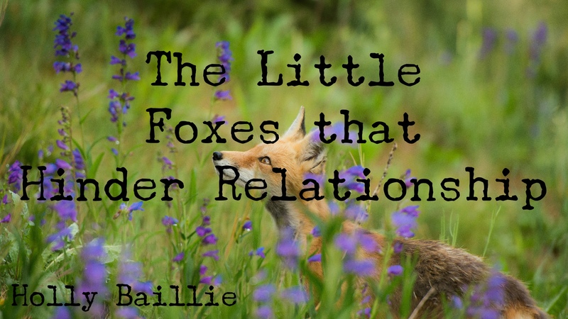 The Little Foxes that Hinder Relationships