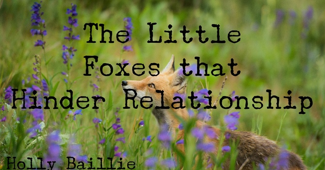 The Little Foxes that Hinder Relationships