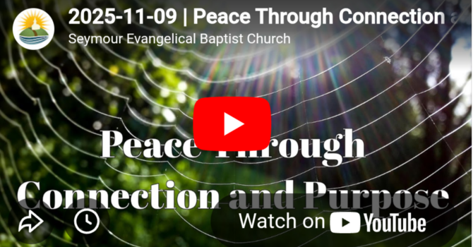 Peace Through Connection and Purpose 