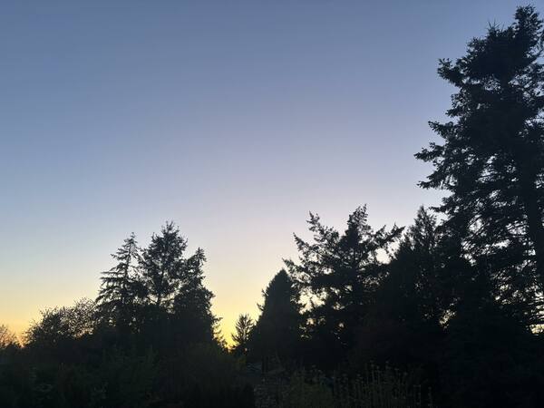 Thoughts from Pastor Eilidh