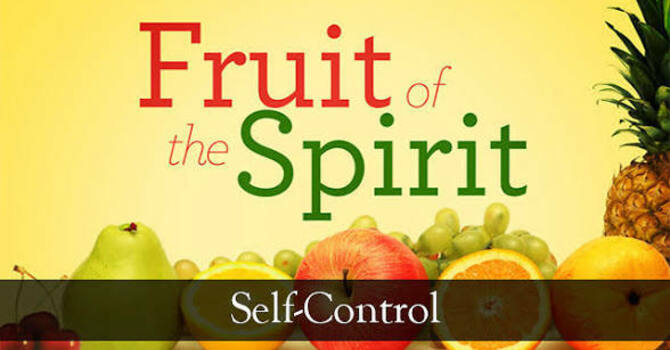 We must have the Character of Christ- The Fruit of the Spirit- “Self-Control”  image