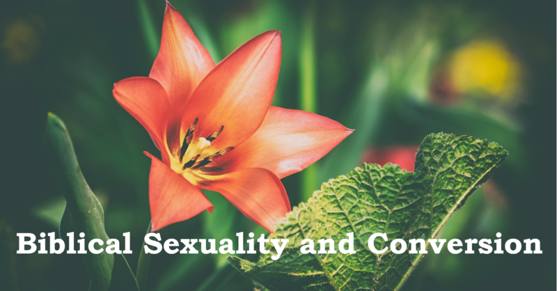 Biblical Sexuality and Conversion
