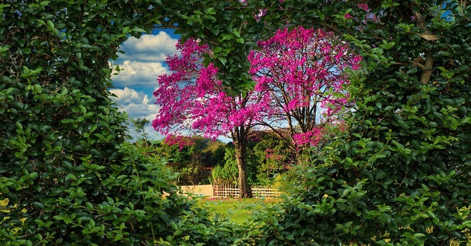 Midweek Message November 13, 2025 image