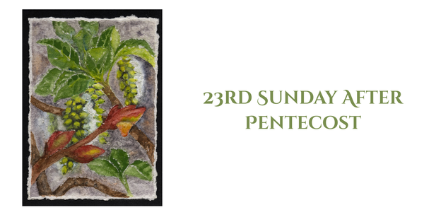 23rd Sunday After Pentecost