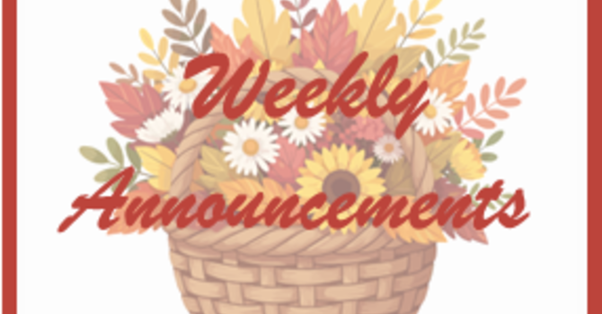 Weekly Announcements