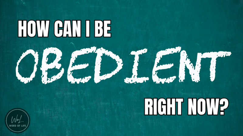 How Can I be Obedient Right now