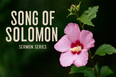 Song of Solomon