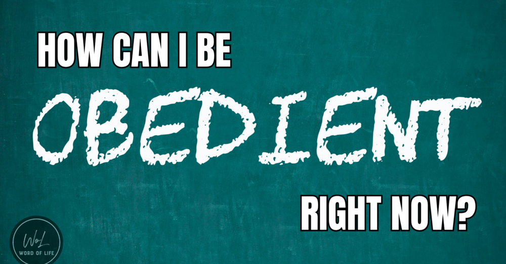 How Can I be Obedient Right now