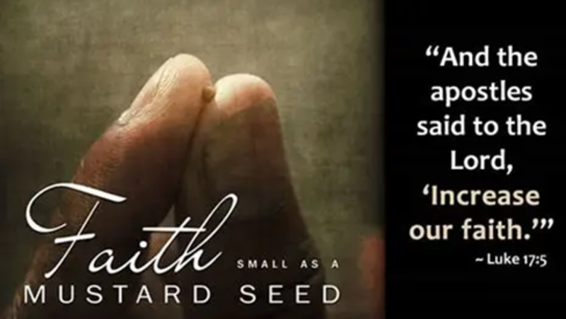 “Jesus, I Need More Faith!”