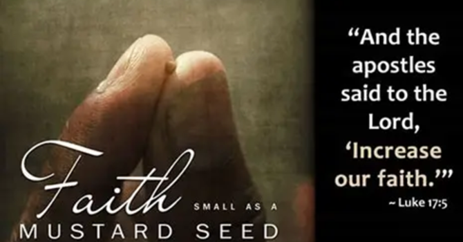 “Jesus, I Need More Faith!”