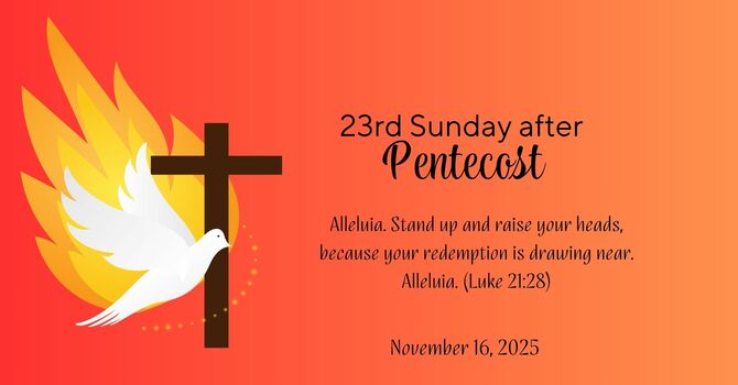 23rd Sunday after Pentecost image