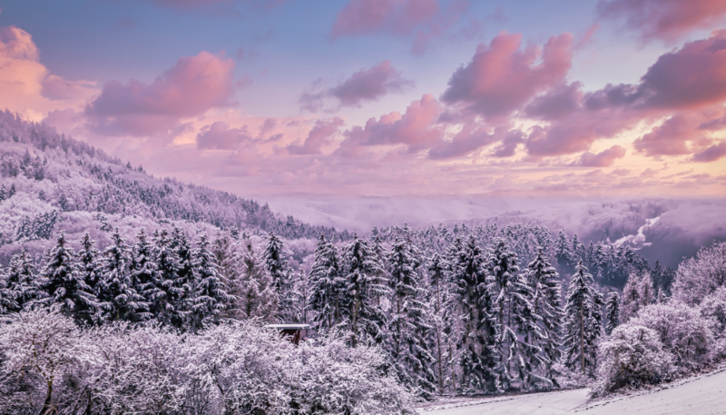 Second Sunday after the Epiphany