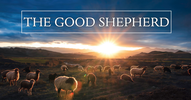 Psalm 23 The Good Sheperd 
