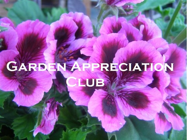 Garden Appreciation Club 