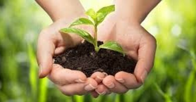 November 16,2025 23rd Sunday after Pentecost  image