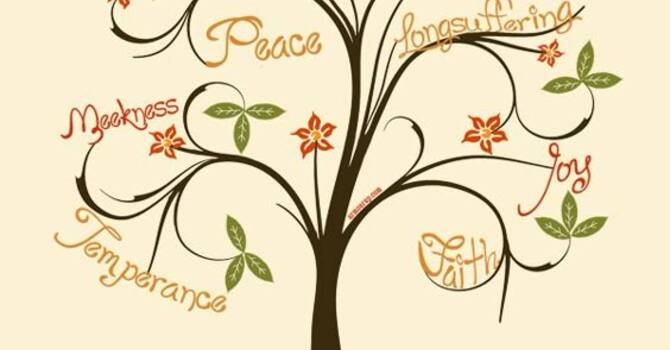 Seek the Things that are Above: Cultivating the Fruit of the Spirit