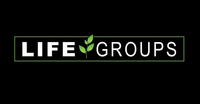 Life Groups image